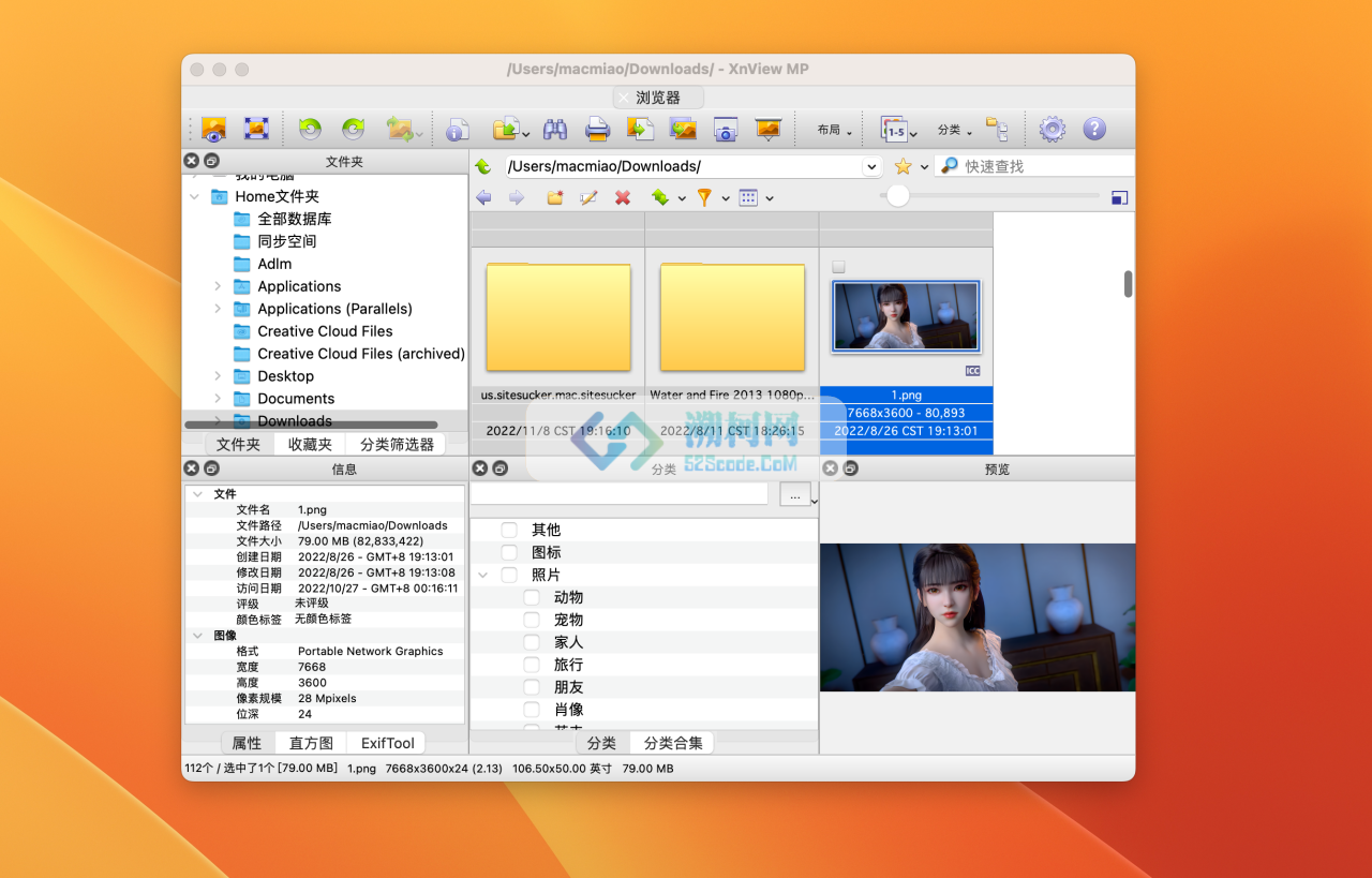 XnViewMP for Mac v1.8.8 激活版 图片浏览软件