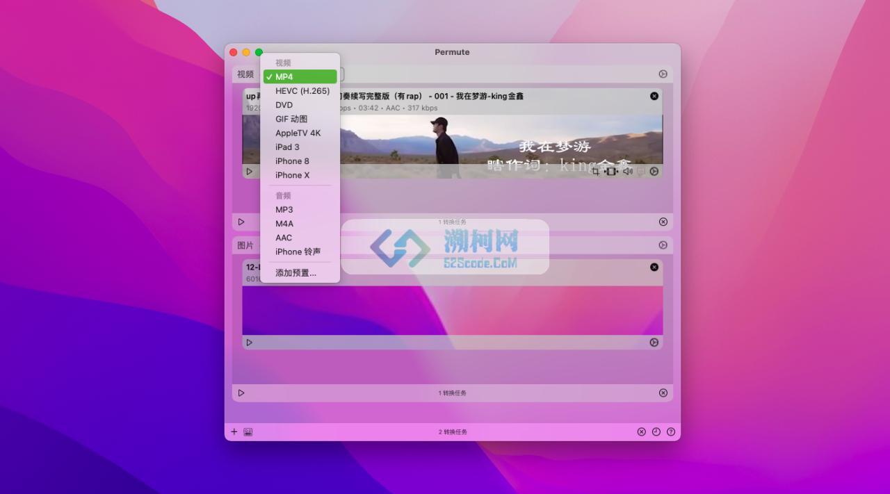Permute 3 v3.13.2 (2842) fix 中文破解版 视频音频格式转换