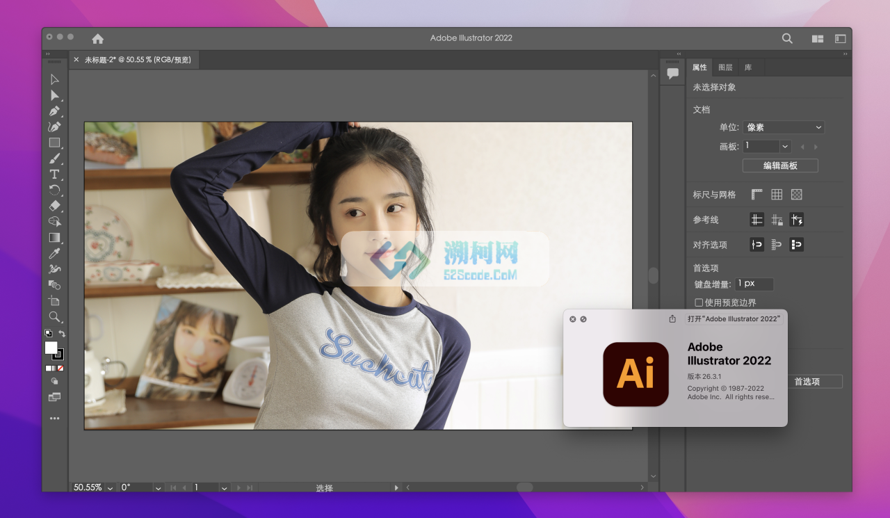 Illustrator 2022 for Mac v26.3.1 激活版 intel/M1通用 (Ai 2022中文版)