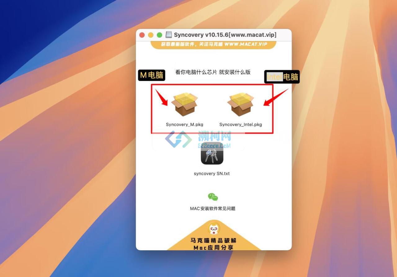 Syncovery for mac v10.17.4 激活版 文件备份和同步工具