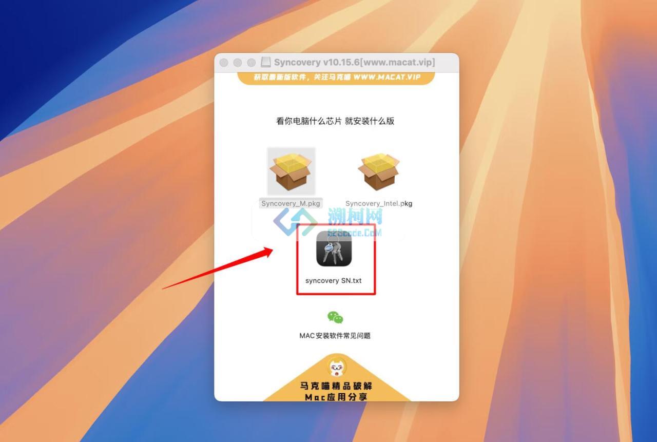 Syncovery for mac v10.17.4 激活版 文件备份和同步工具