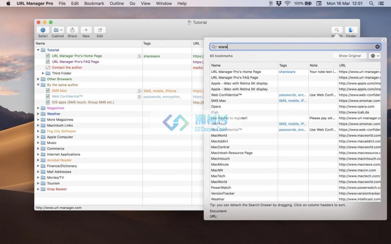URL Manager Pro for Mac v6.4.6 激活版 浏览器标签管理应用