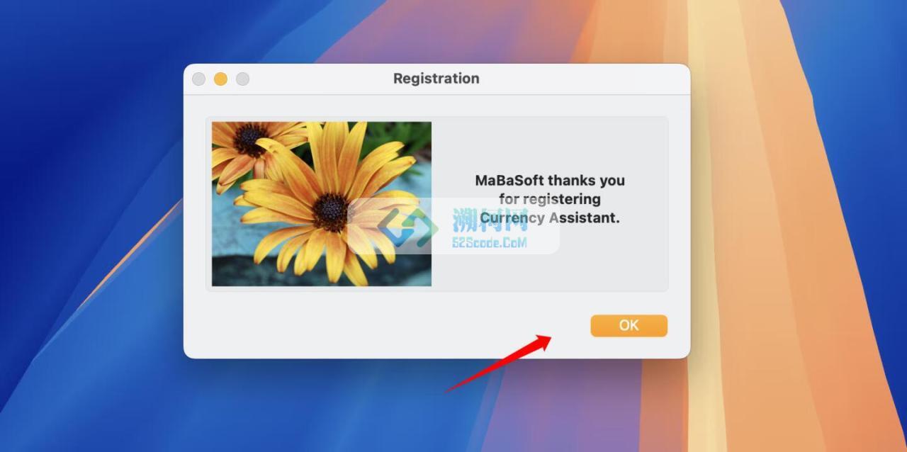 Currency Assistant for Mac v3.6.4激活版 货币兑换计算器