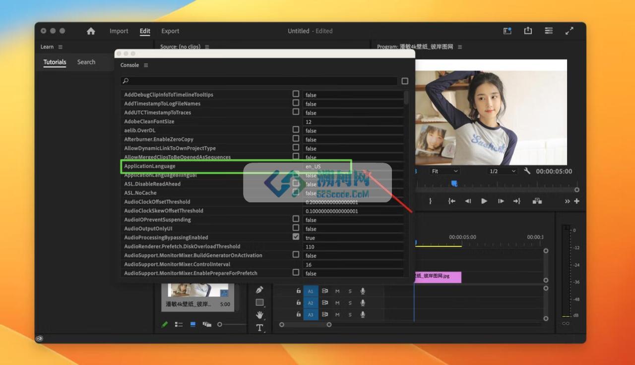 Adobe Premiere Pro 2025 for Mac v25.0.0 中文破解版 intel/M1通用(pr2025)