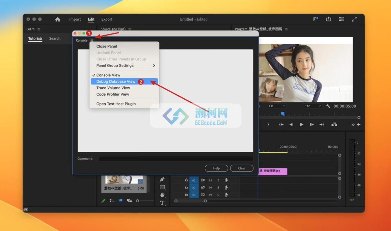 Adobe Premiere Pro 2025 for Mac v25.1 中文破解版 intel/M通用(pr2025)