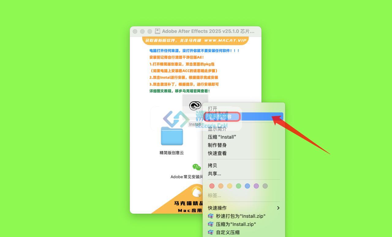 Adobe After Effects 2025 for Mac v25.1.0 中文破解版 intel/M通用 (AE 2025)