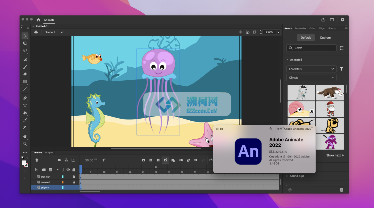 Animate 2022 for Mac v22.0.5中文激活版 二维动画制作软件 intel/M1通用 (An 2022)