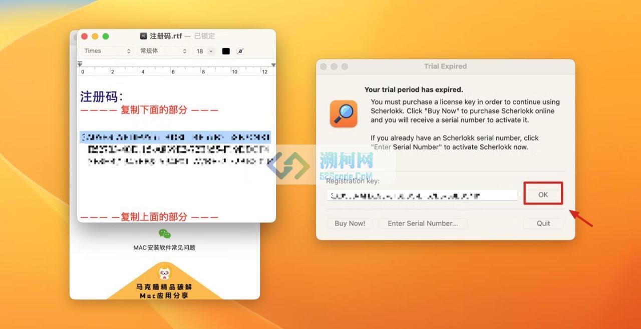 Scherlokk for mac v6.3.6(63601) 中文激活版 文件搜索工具