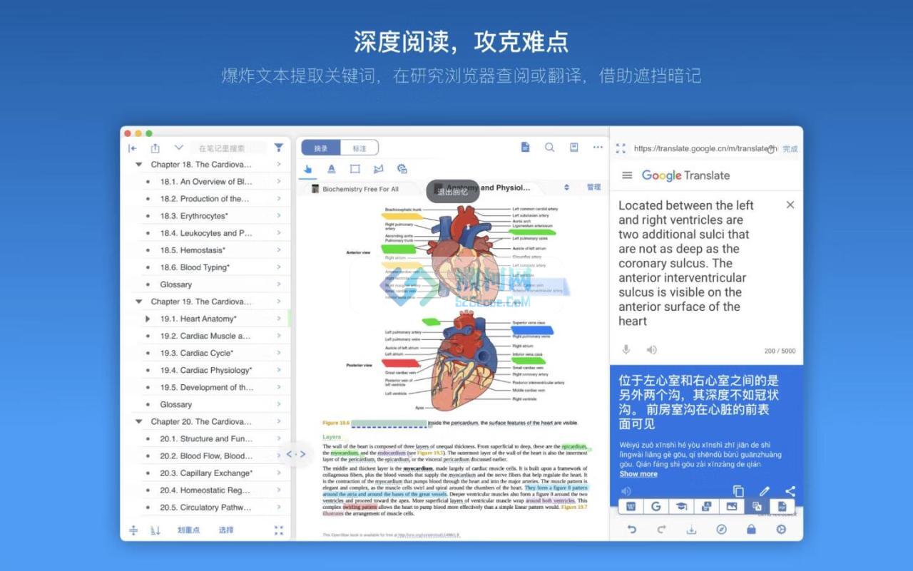 MarginNote 3 for Mac v3.7.29003 中文破解版 电子阅读神器(一款会重塑学习方式的阅读笔记工具)