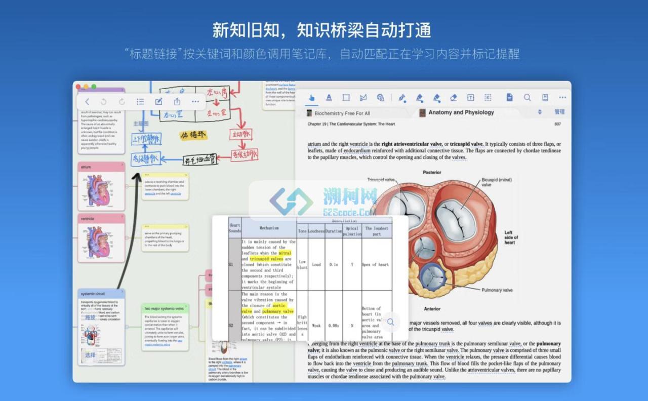 MarginNote 3 for Mac v3.7.29003 中文破解版 电子阅读神器(一款会重塑学习方式的阅读笔记工具)