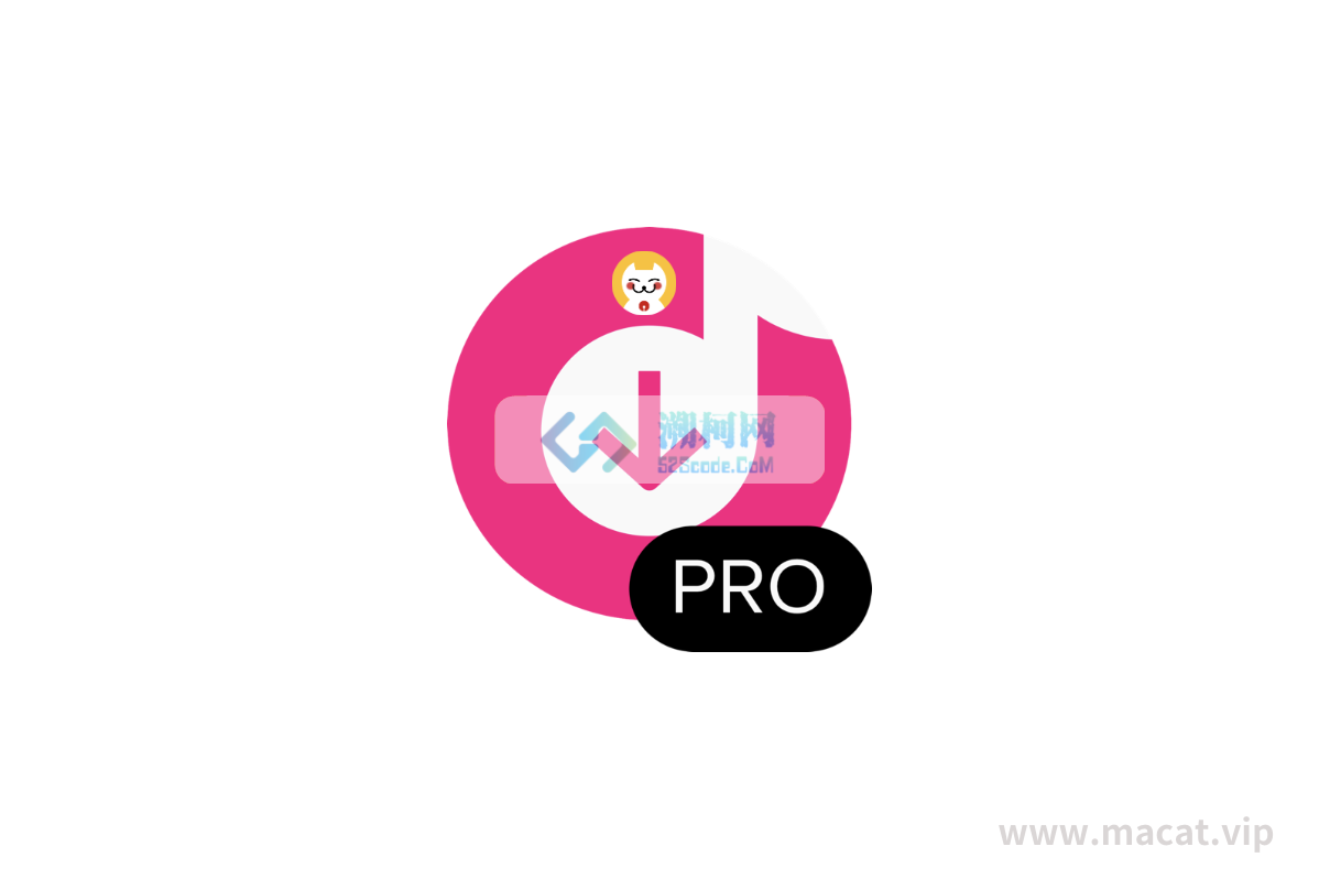 4K Tokkit Pro for Mac v25.1.0 激活版 TikTok内容下载工具