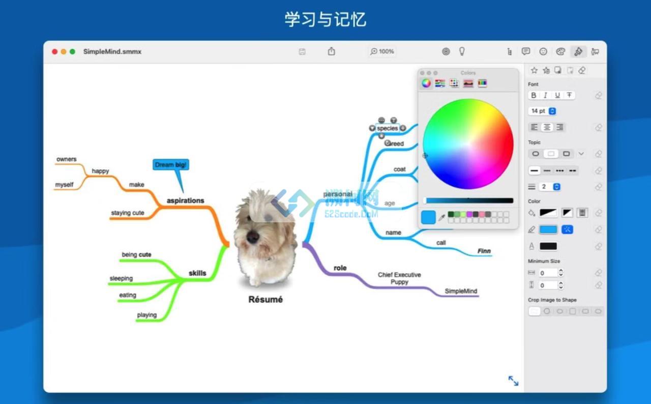 SimpleMind Pro for Mac v2.6.1 中文激活版 mac上的思维导图软件